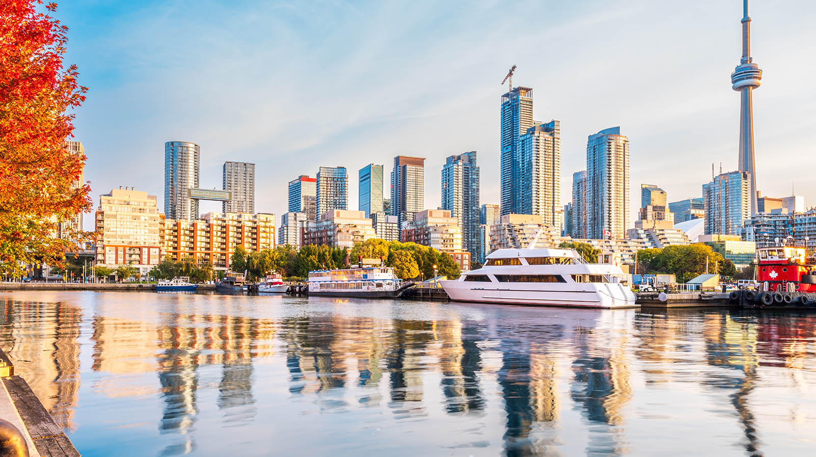 Hot Property for Thursday, October 9, 2025